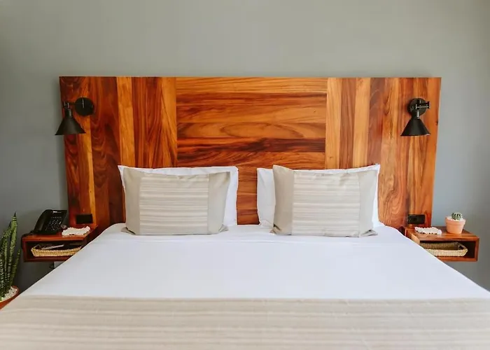4 Charming King In Luxurious Boutique Inn *